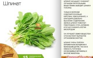 Состав, польза и вред шпината для организма человека