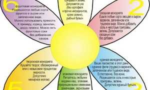 Диета 6 лепестков: рацион на каждый день недели