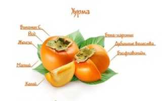 Хурма — польза и вред для здоровья человека