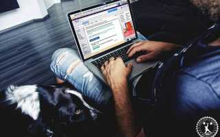 Как познакомиться с девушкой в интернете?