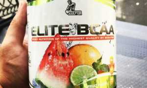 Elite BCAA Sculptor Nutrition – отзывы и обзор