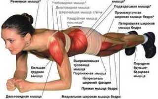 Упражнение планка для работы комплекса мышц