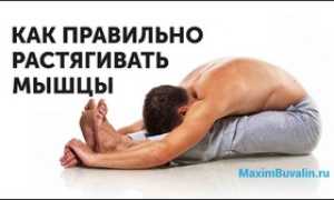 Растяжка после тренировки: комплекс упражнений