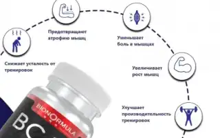 BCAA – как принимать и что это такое?