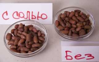 Белая и красная фасоль: польза, вред и лечебные свойства
