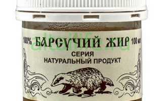 Лечебные свойства и противопоказания барсучьего жира
