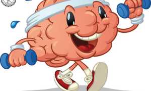 Препараты для улучшения памяти и работы мозга – стань более эффективным!