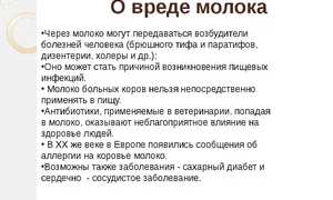 Польза и вред молока для организма человека
