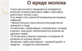 Польза и вред молока для организма человека