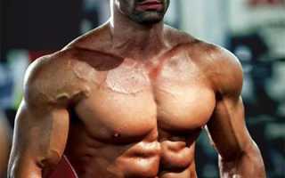 Калории на сушке тела – правильный расчет