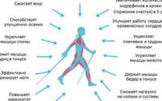 Скандинавская ходьба с палками: описание, польза и вред