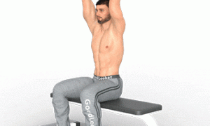 Упражнения на трицепс с гантелями – как накачать трёхглавую мышцу в домашних условиях?