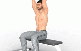 Упражнения на трицепс с гантелями – как накачать трёхглавую мышцу в домашних условиях?