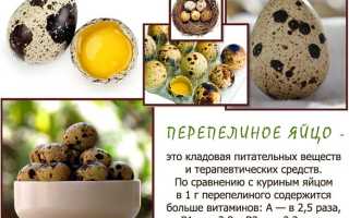 О пользе перепелиных яиц (Коктейль молодость — альтернатива виагре)