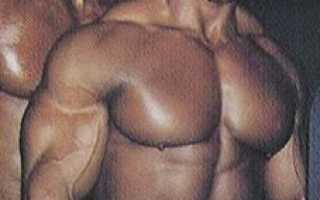 Биография Шона Рэя. Шон Рэй / Shawn Ray – яркая фигура бодибилдинга.