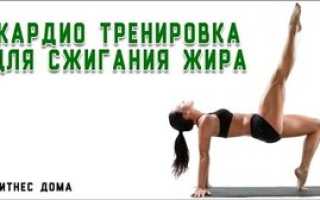 Кардиотренировка для похудения в домашних условиях