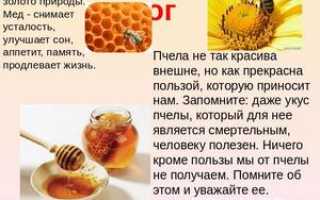 Польза и вред от пчелиного мёда для организма человека