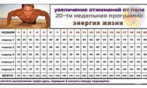 Программы и техники отжиманий для парней и девушек