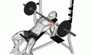 Увеличиваем жим штанги лёжа на 30%!! (Часть I)