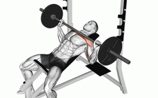 Увеличиваем жим штанги лёжа на 30%!! (Часть I)