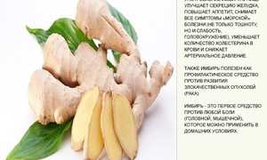 Корень имбиря: польза, вред, свойства и состав