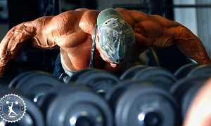 Упражнения на заднюю дельту плеча: комплекс упражнений в тренажерном зале и домашних условиях