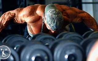 Упражнения на заднюю дельту плеча: комплекс упражнений в тренажерном зале и домашних условиях