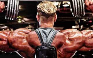 Упражнения на плечи с собственным весом и без осевой нагрузки – 12 беспроигрышных вариантов!