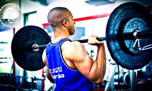 Упражнения на плечи в тренажерном зале для девушек – основы женских тренировок дельт