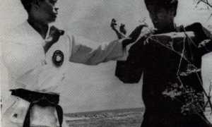 Брюс Ли — Тайна Дракона (Часть I)