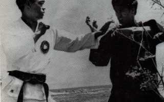 Брюс Ли — Тайна Дракона (Часть I)