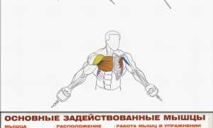 Кроссоверы на нижних блоках