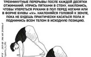 Отжимание для начинающих: программы, схемы