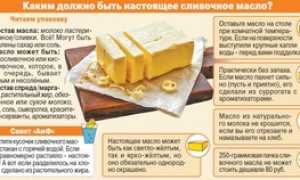 Польза и вред сливочного масла для организма человека
