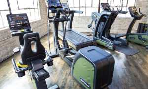 Экология бодибилдинга