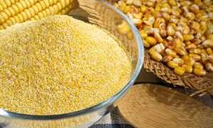 Польза и вред каши из кукурузной крупы