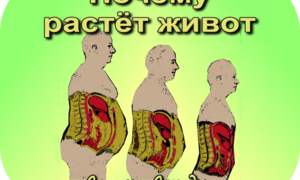 Почему растёт большой живот у женщин, и как от него избавиться