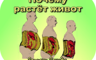 Почему растёт большой живот у женщин, и как от него избавиться