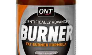 QNT Burner – отзывы
