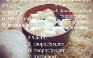 Как выдержать питьевую диету: шоко питьевая диета на 7 дней