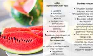 Основные свойства арбузного плода, польза и вред от него