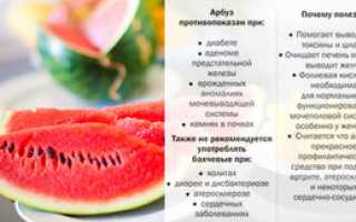 Основные свойства арбузного плода, польза и вред от него