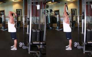 Трицепс на блоке – виды тяг и разгибаний