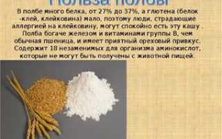 Полба: состав, польза для организма; рецепты блюд