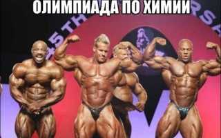 Немного юмора про качков или бодибилдинг приколы