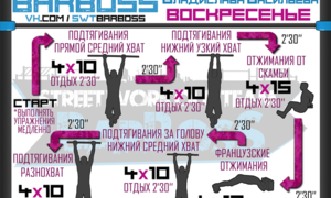 Программа для увеличения числа подтягиваний на турнике
