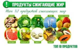 Жиросжигающие продукты для похудения