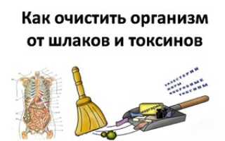 Чистка кишечника от шлаков и токсинов: средства и способы