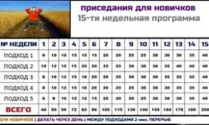 Программа приседаний для начинающих в домашних условиях