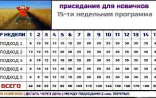 Программа приседаний для начинающих в домашних условиях